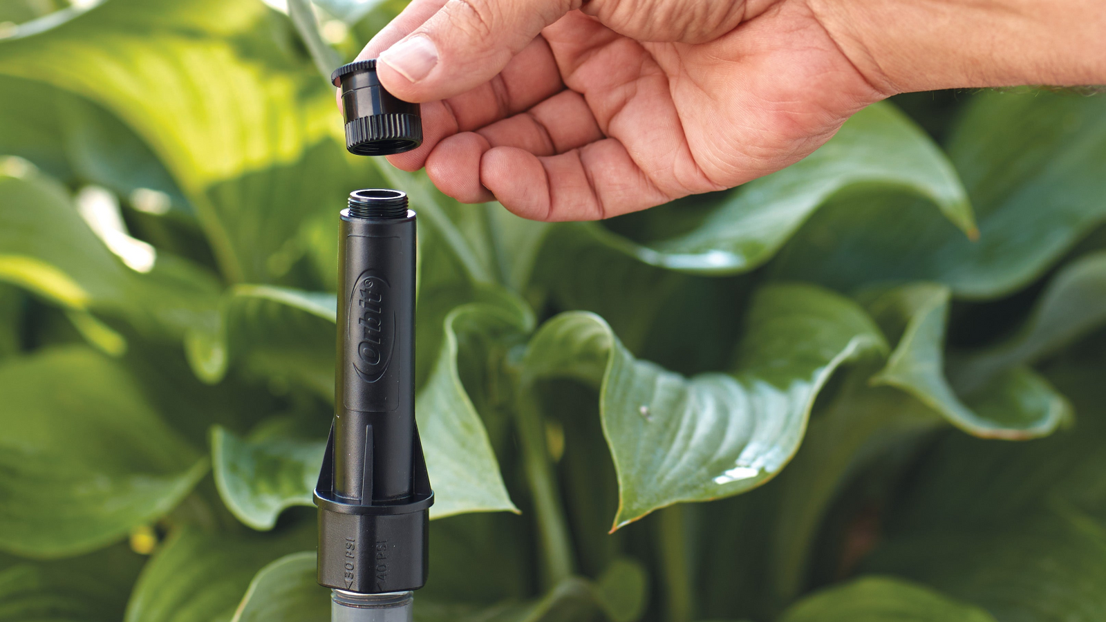 Irrigation Sprinklers from Impact to Flush