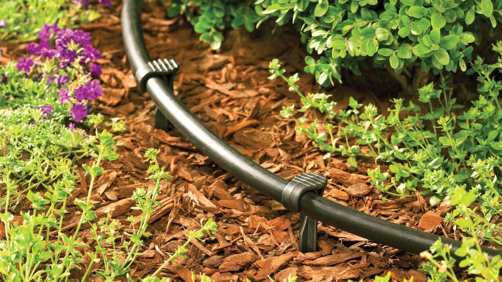 The 3 Types of Drip Tubing