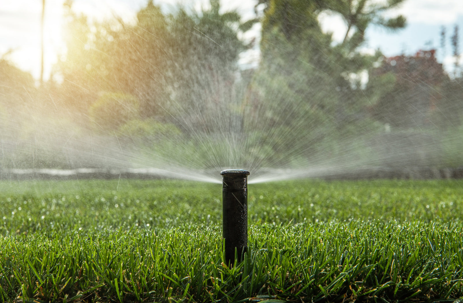 How to Adjust a Spray Sprinkler (Adjustable Pop-Up Sprinkler Nozzle)