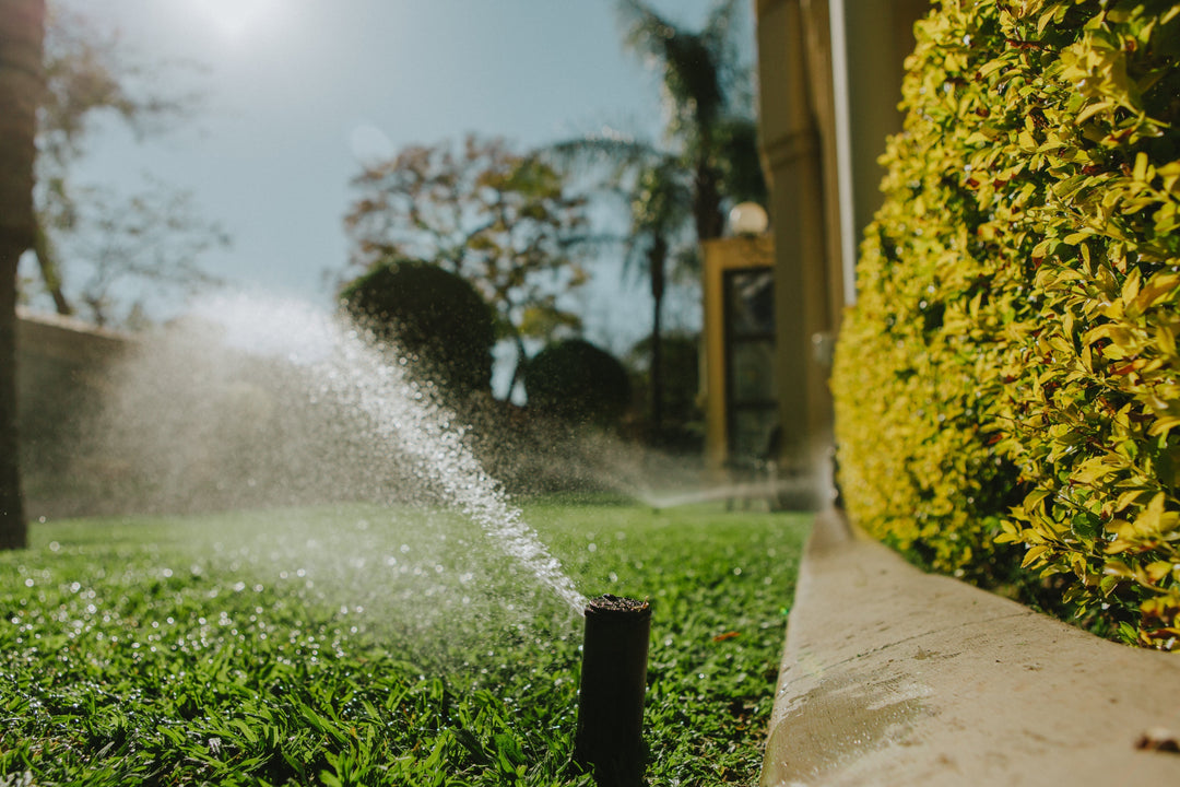 Water-Saving Hacks: Smart Sprinkler Selection and Placement