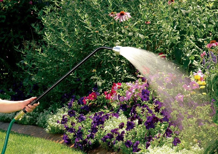 Thirty three inch shower head metal wand with shut-off lever, emitting a shower-like spray of water.