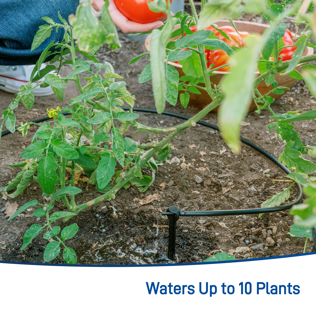 All-in-One Tomato Drip Kit