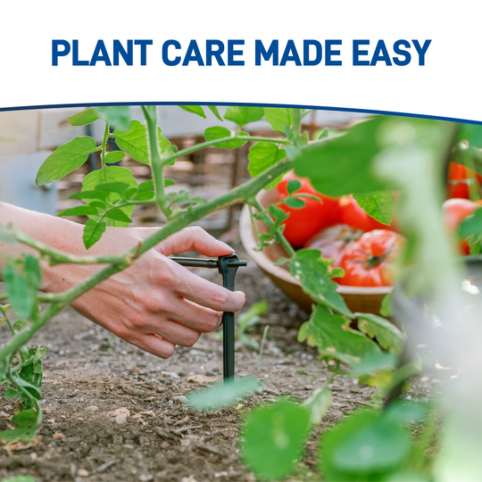 All-in-One Tomato Drip Kit