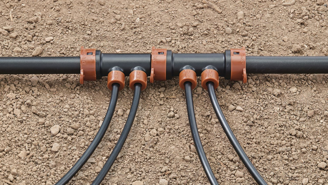 Drip Irrigation Systems: The basics