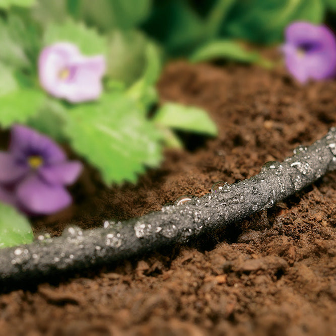 Drip Irrigation vs Soaker Hose