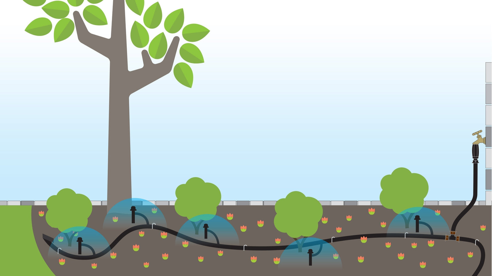 Drip Irrigation for Trees and Shrubs