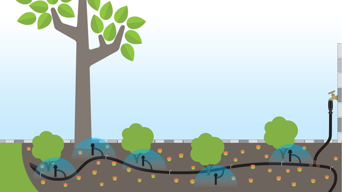 Drip Irrigation for Trees and Shrubs