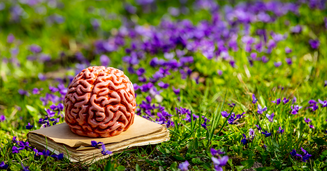 How Nature Changes Your Brain