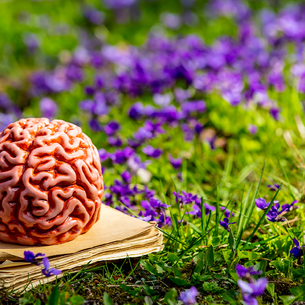 How Nature Changes Your Brain