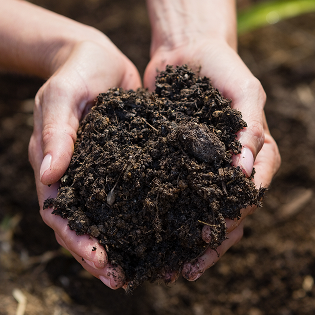 What Type of Soil Do I Have?