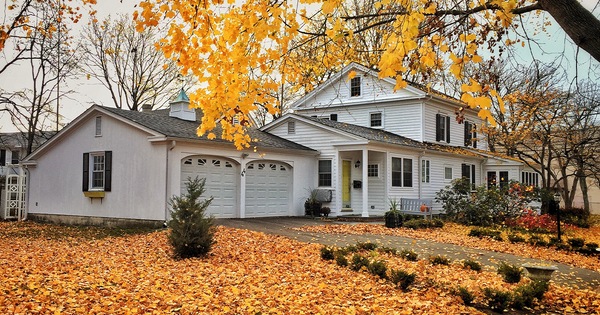 Fall Prep Part 2: Cleanup Outside Your Home