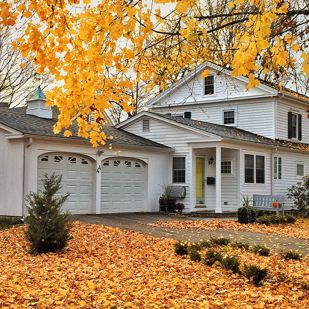 Fall Prep Part 2: Cleanup Outside Your Home