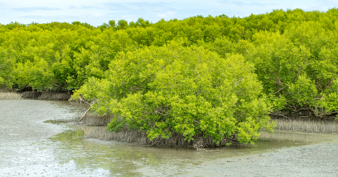 Why save water when there’s not a drought? It’s time to talk about teleconnections