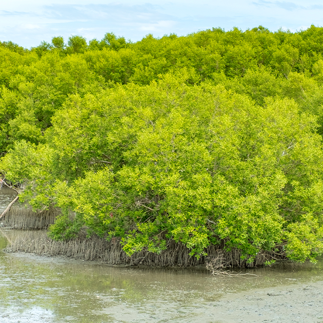 Why save water when there’s not a drought? It’s time to talk about teleconnections