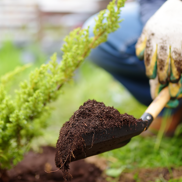 10 Things Gardeners Often Neglect