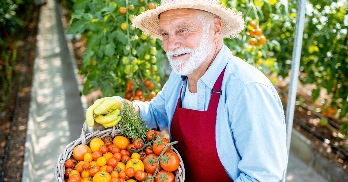 How to Save Tomato Seeds like a Pro