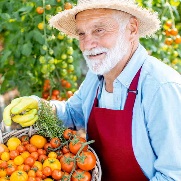 How to Save Tomato Seeds like a Pro