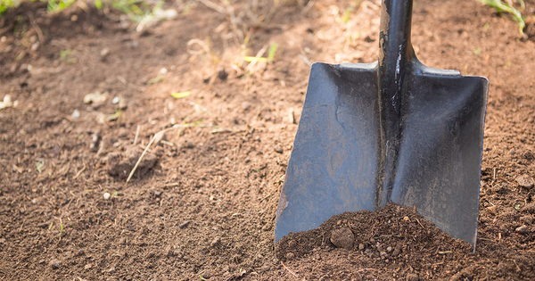 5 Things You Didn’t Know You Could Use as Fertilizer