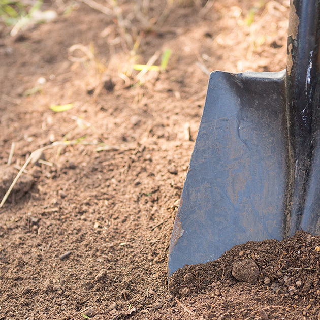 5 Things You Didn’t Know You Could Use as Fertilizer