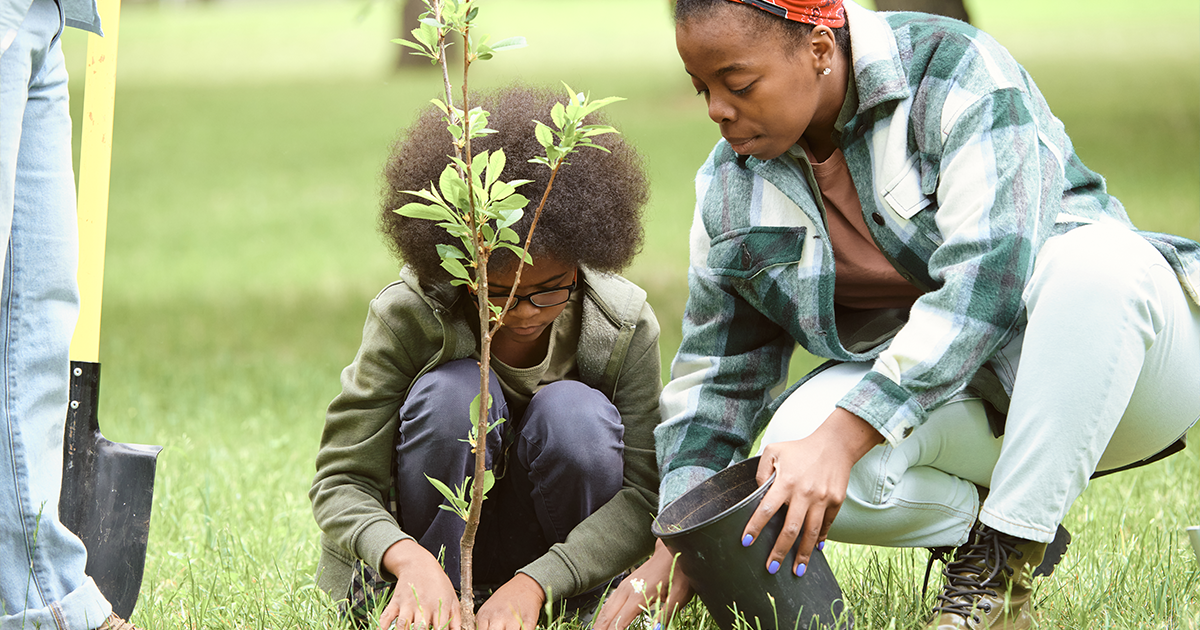 Mother and son planting a tree. 