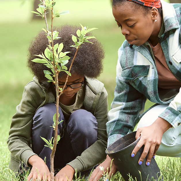 Mother and son planting a tree. 