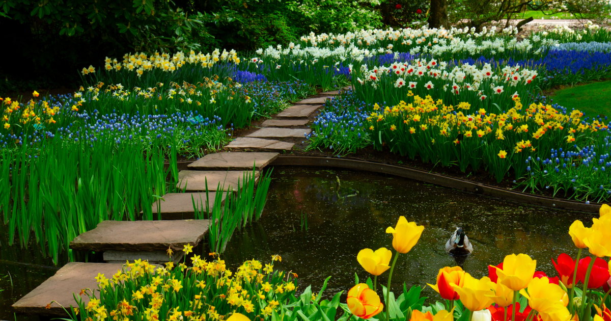 Garden In Spring How to Design a Spring Flower Garden – OrbitOnline