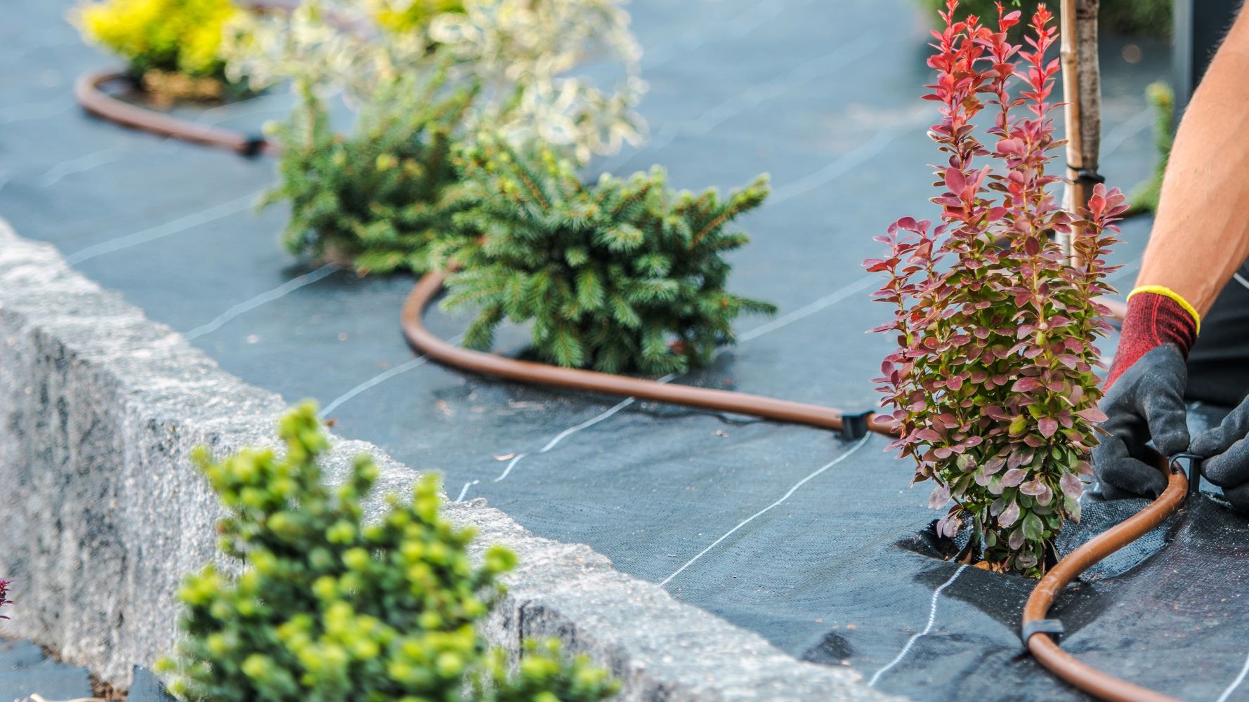What is the downside of using a drip irrigation system