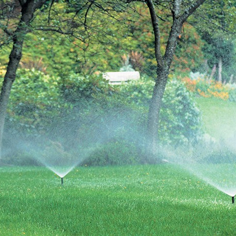 Sprinklers watering lawn.