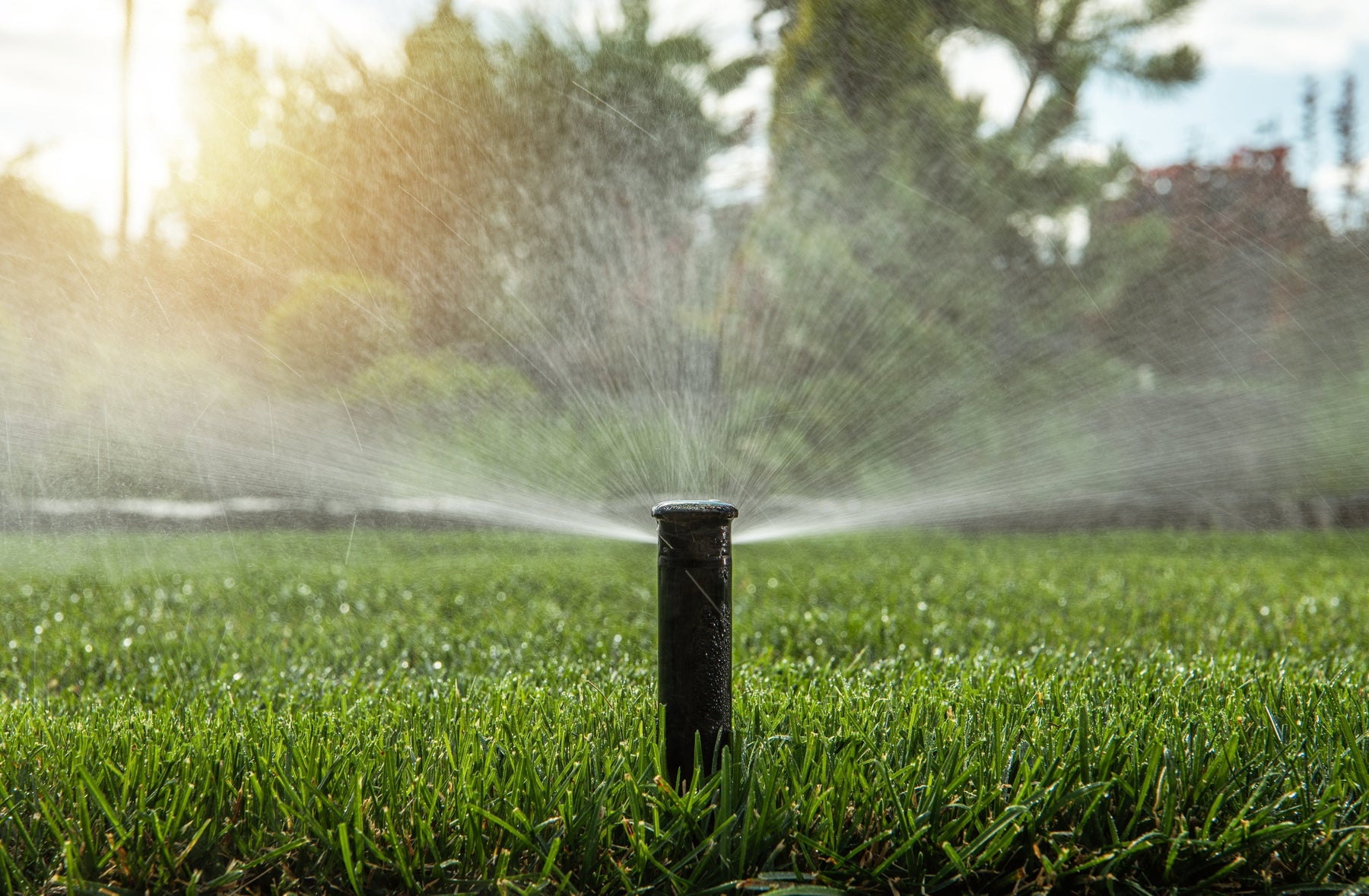 Easy-Set Logic Automated Irrigation Controller