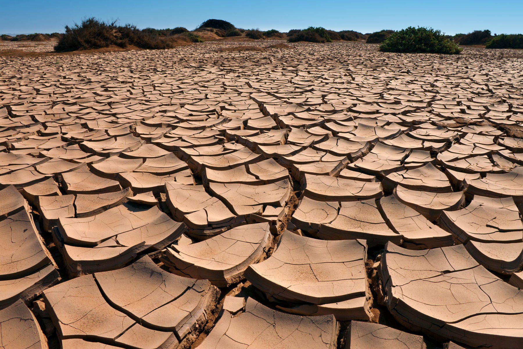 Cracked dry ground. 