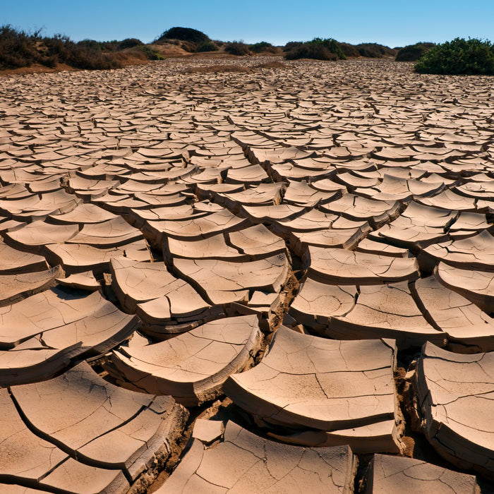 Cracked dry ground. 