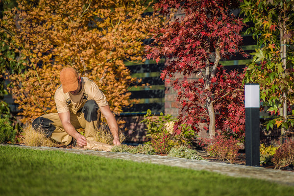 Do Watering Needs Change During the Fall?