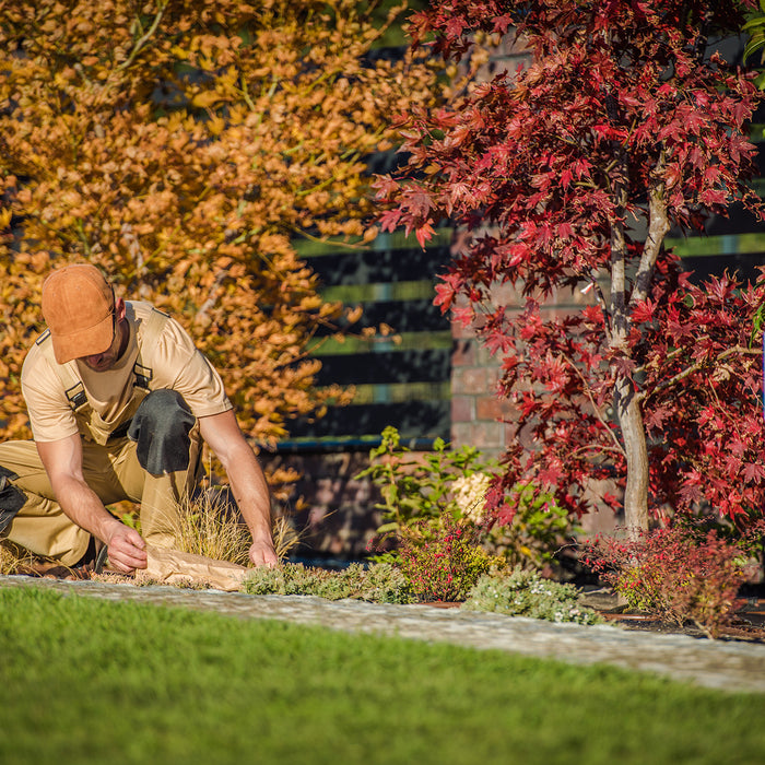 Do Watering Needs Change During the Fall?