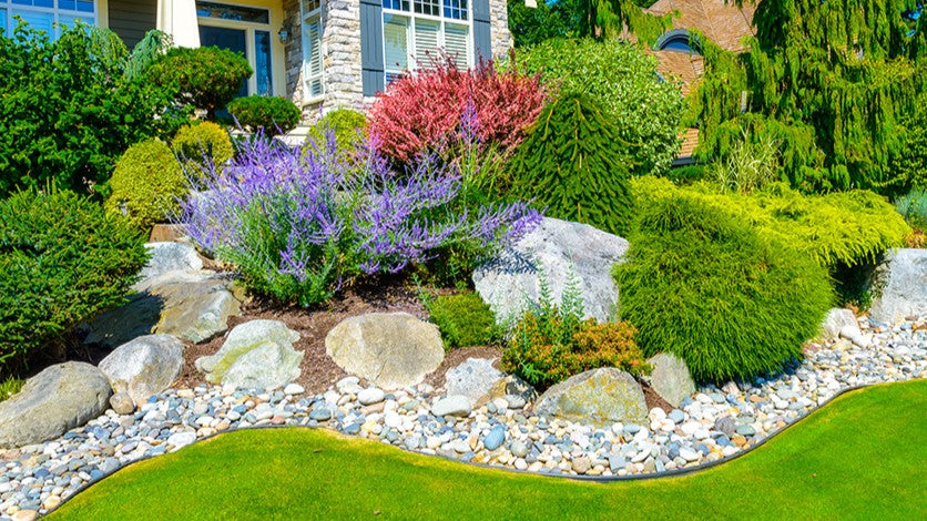 How Do I Create a Water-Wise Landscape
