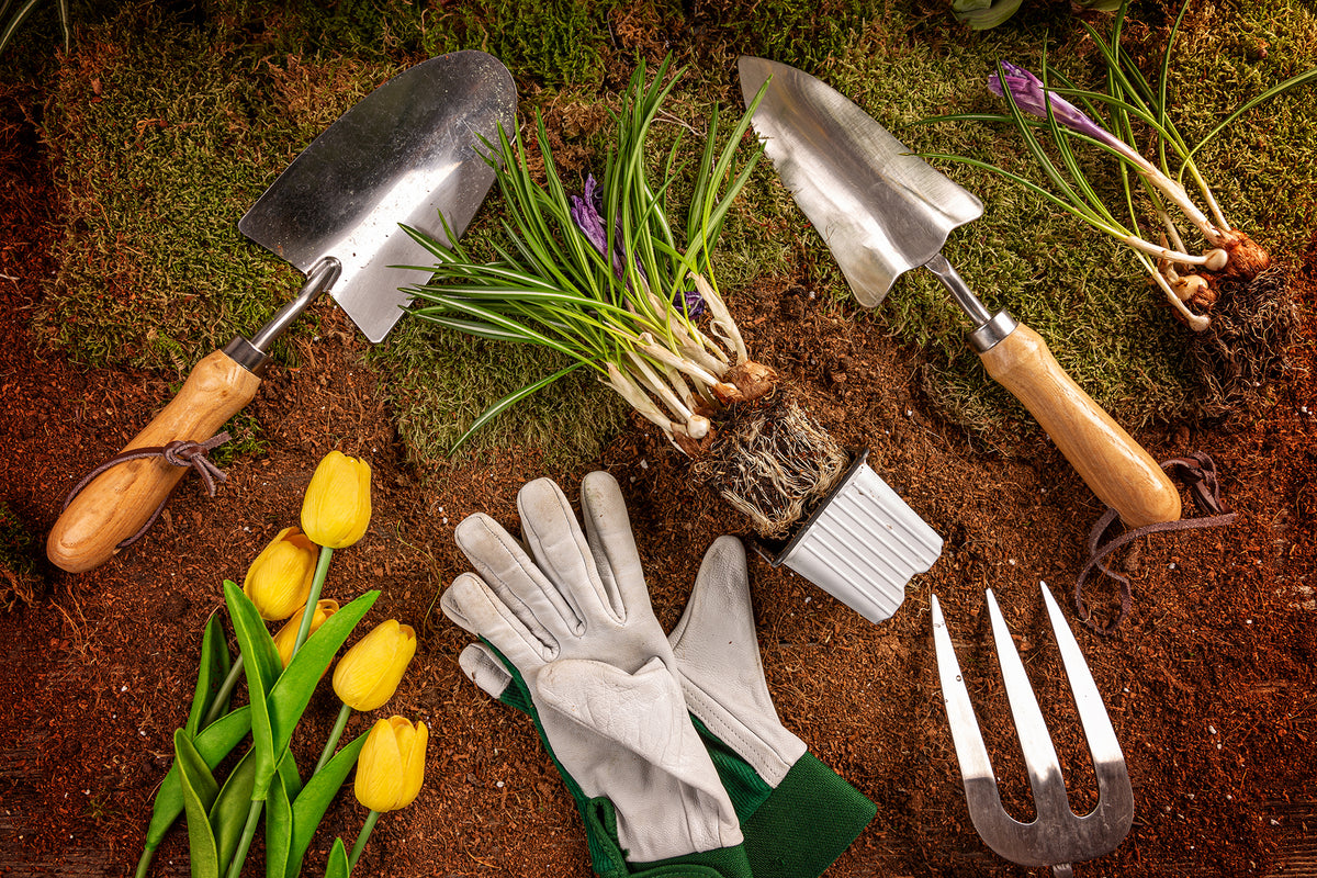 Gardening tools and plants. 