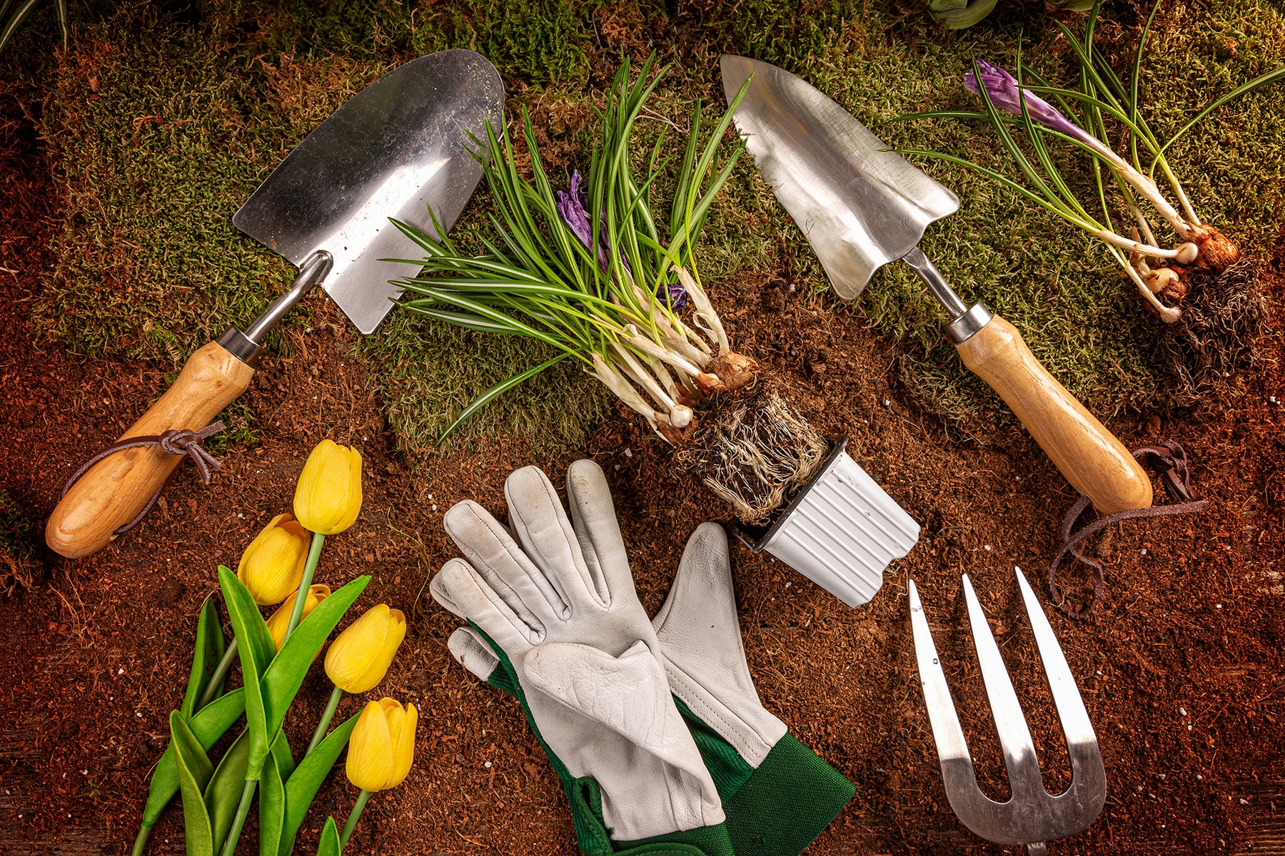 Gardening tools and plants. 