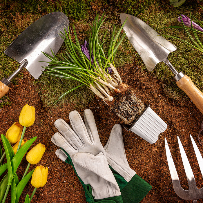Gardening tools and plants. 