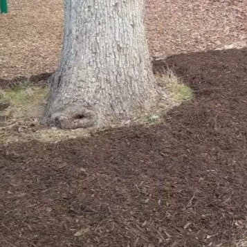 Drip Irrigation For Trees