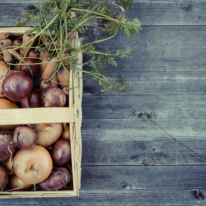 Creating a Fall Vegetable Garden