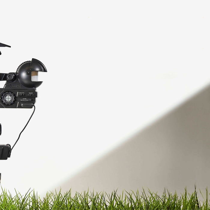 How to Protect Your Lawn without Pesticides