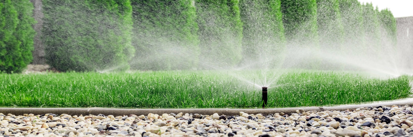 spray head with half pattern nozzle watering grass