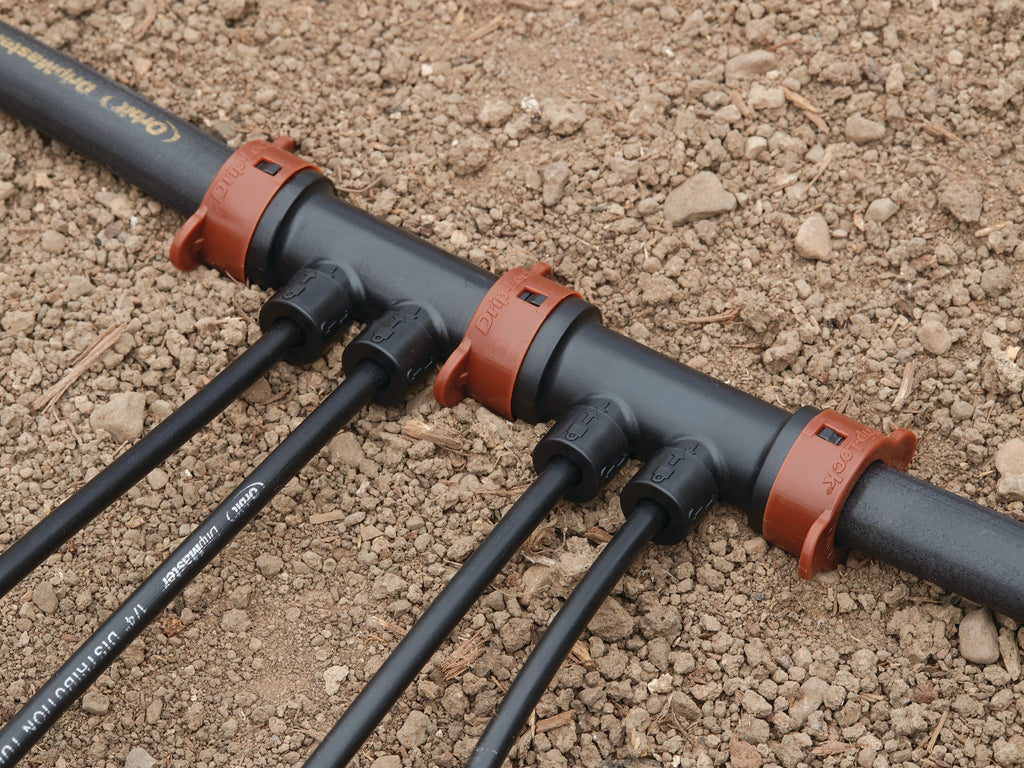Colector de goteo de 2 puertos Drip-Lock de 1/2" x 1/4" 67046