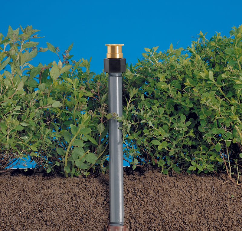 Shrub Head Sprinkler Adapter with Brass Quarter Pattern Spray Nozzle | 54053