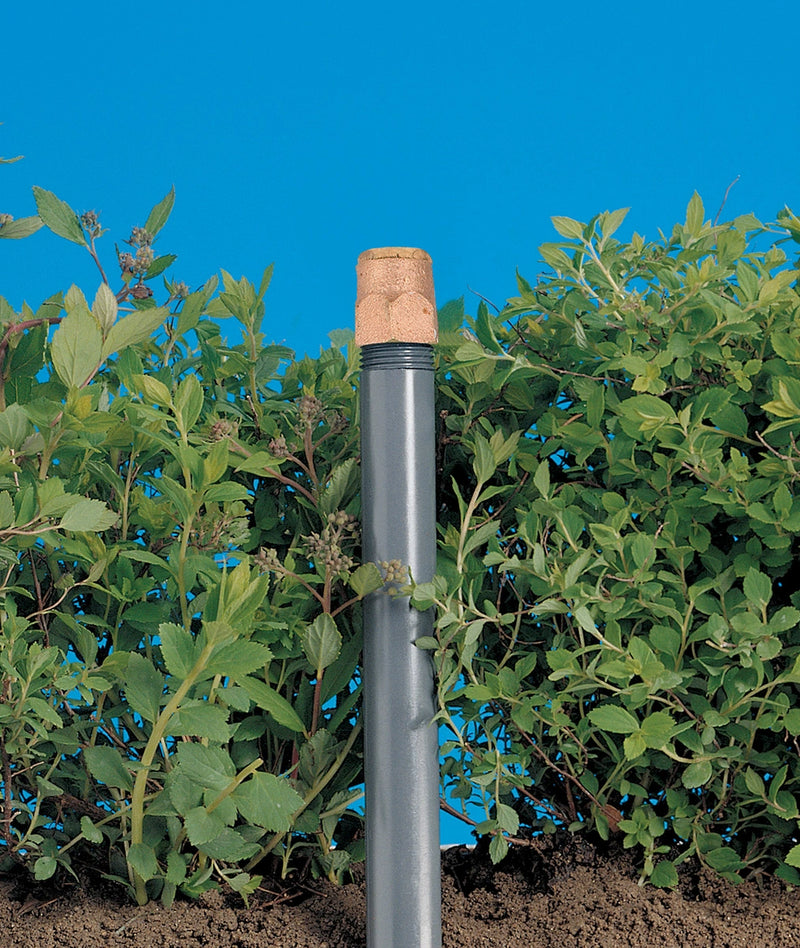 Brass Shrub Head Sprinkler with Brass Center Strip Pattern Spray Nozzle | 54035