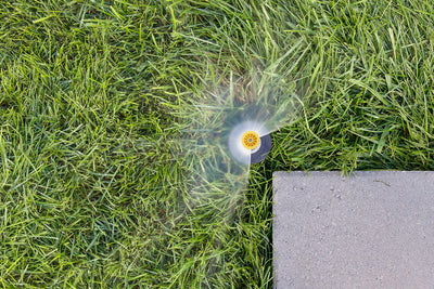 Professional Pressure-Regulating Pop-Up Spray Head Sprinkler with Adjustable Nozzle