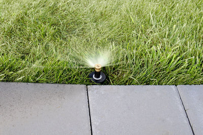 Professional Pressure-Regulating Pop-Up Spray Head Sprinkler with Brass Nozzle