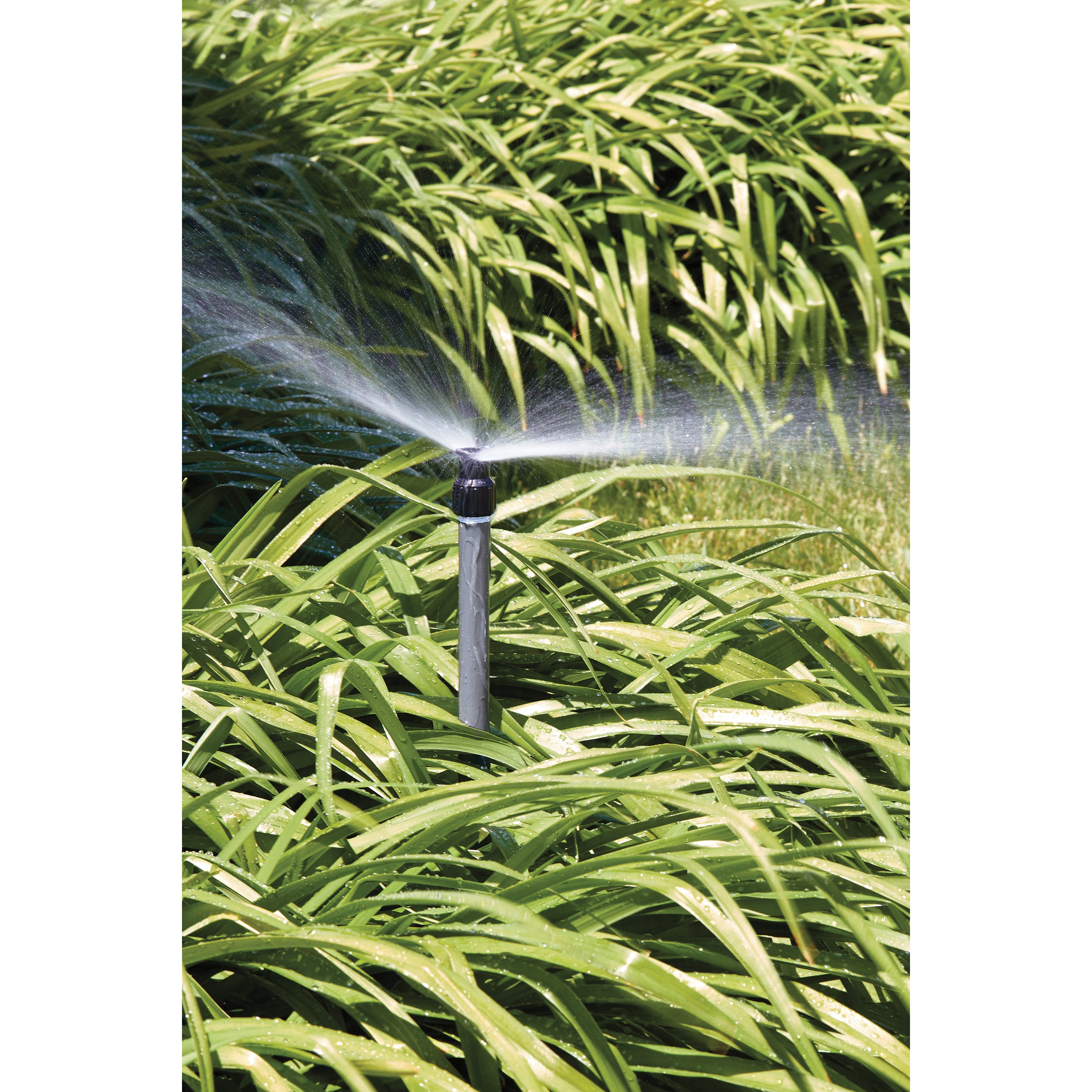 Shrub Head w/Ctr Strip Pattern Insert Nozzle | 54013 — Orbit