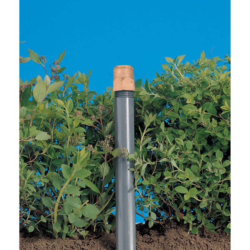 Brass Shrub Head w/Half Pattern Nozzle | 54031
