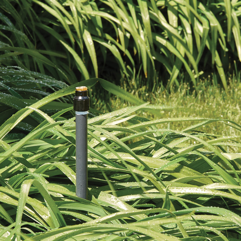 Garden sprinkler system with water droplets on green grass