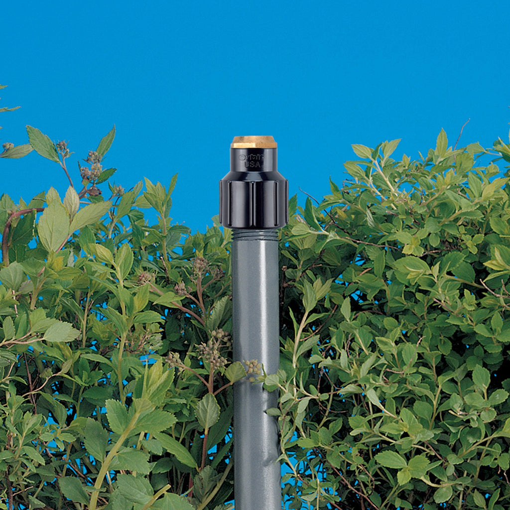 Drip irrigation emitter in the ground with plants and blue sky in the background